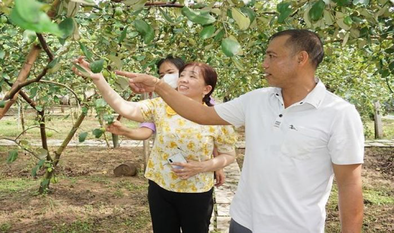 Ra mắt điểm tham quan du lịch cộng đồng Vườn Táo Sáu Nửa