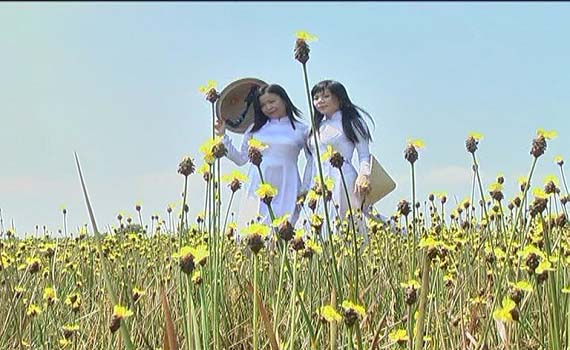 Tin tức giải trí test