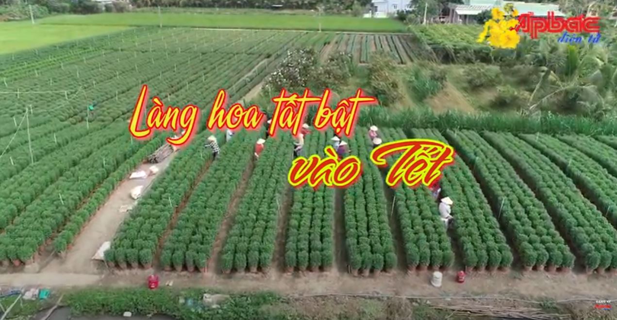 Làng hoa tất bật vào Tết