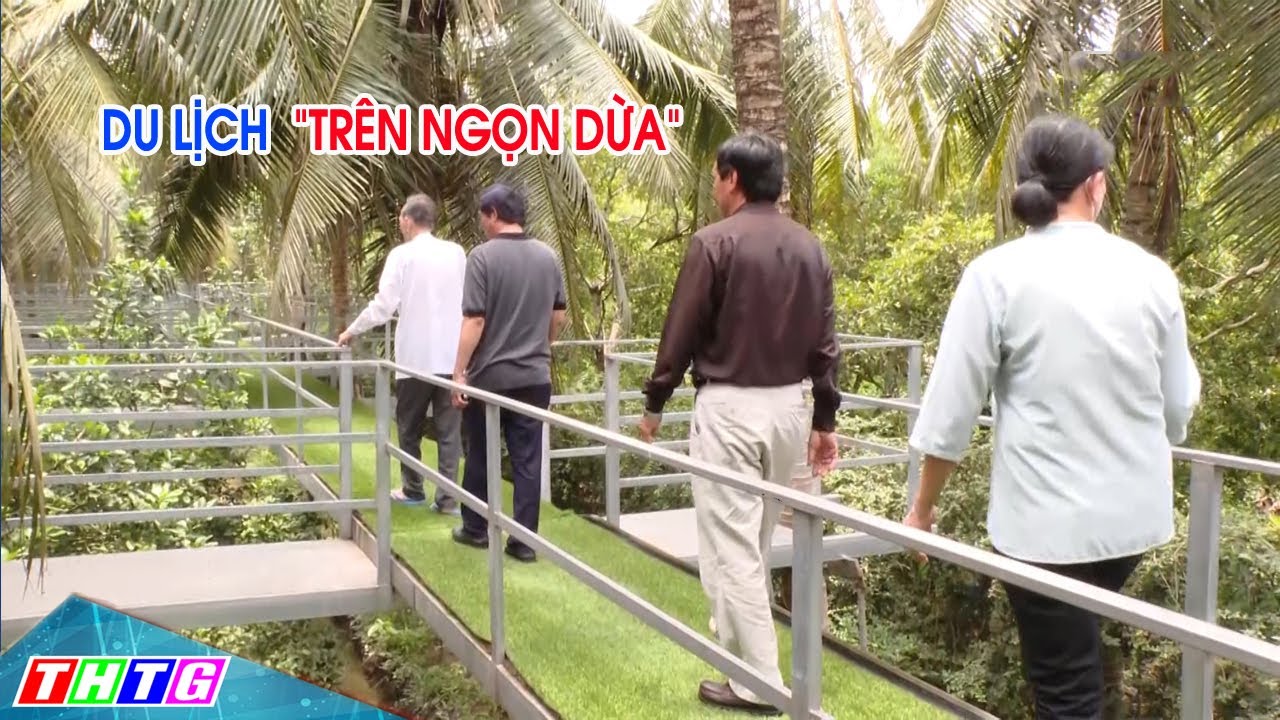 Độc đáo mô hình du lịch “trên ngọn dừa” tại Châu Thành Tiền Giang