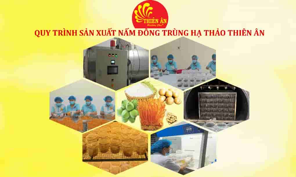 Điểm du lịch Dược Liệu Xanh Thiên Ân