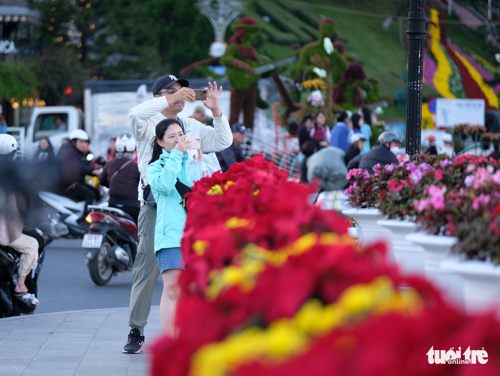 Đà Lạt dùng 500.000 chậu hoa trang điểm phố phường chờ khai mạc Festival Hoa