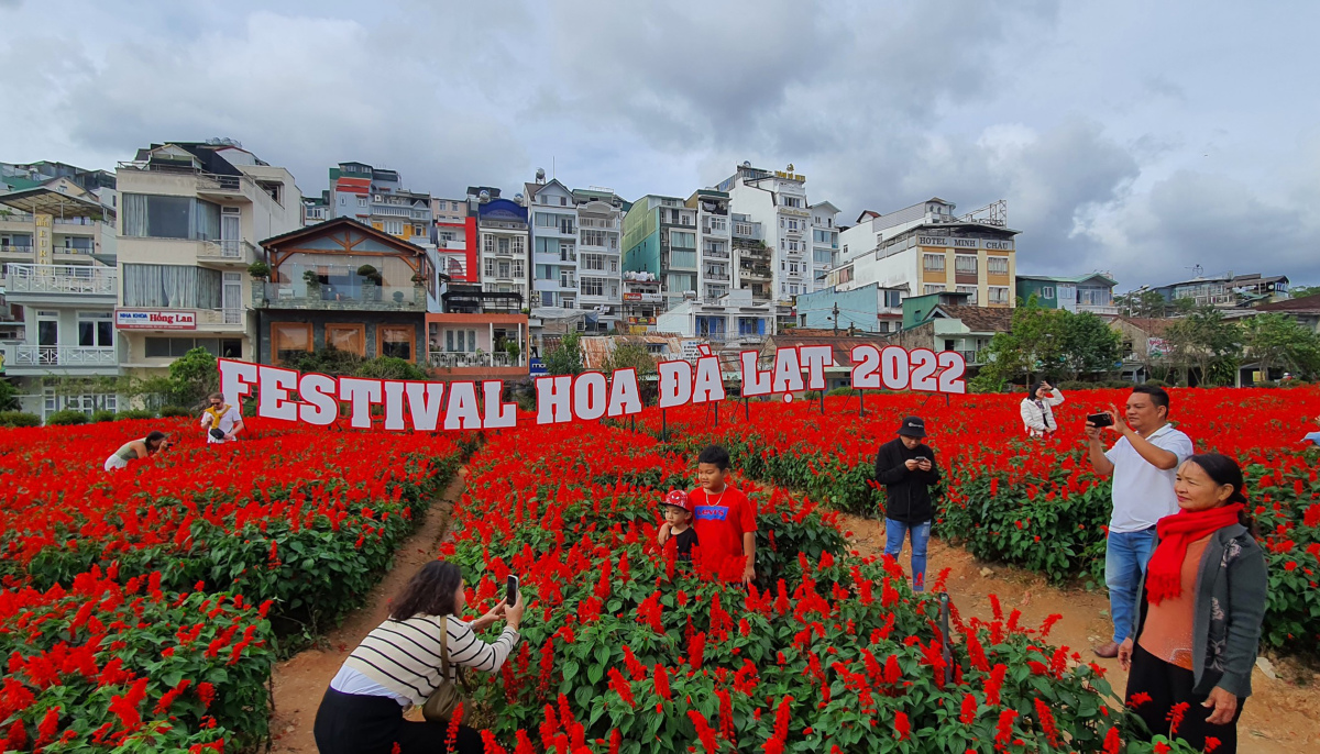 Đà Lạt rực rỡ dịp Festival hoa